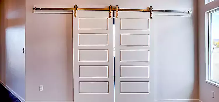 Glass Barn Door with Installation Hardware Kit Country Club Hills