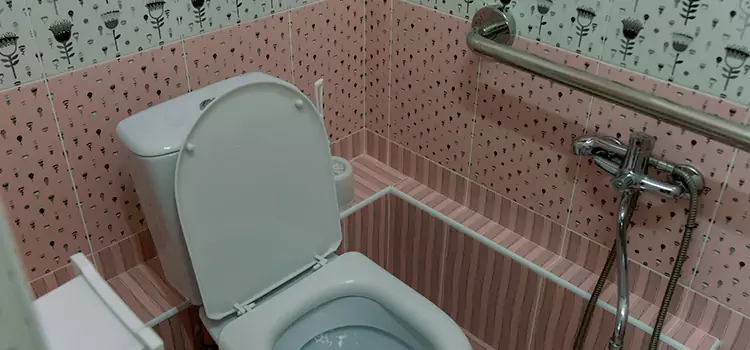 Meeting Diverse Needs With Accessible Restroom Solutions in Country Club Hills, IL