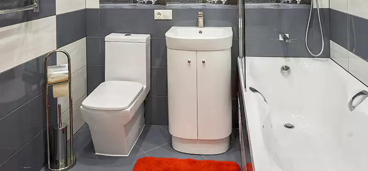 Hansgrohe Shaving Mirror Country Club Hills